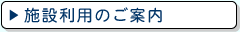 {ݗp̂ē